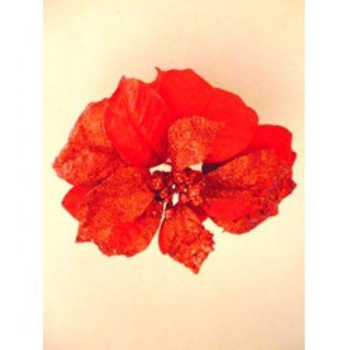 Flor Natal Vermelhac/ Glit Pé Peq 10-4165