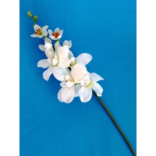 White Orchid Rod 04-8223