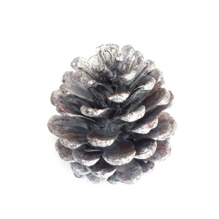 Small Silver Pine Cone