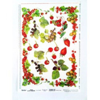 Sheet A4 25x35cm Fruits Verm TO-DO 044