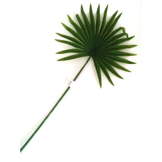 Folha Verde Palmeira 69cm 30212