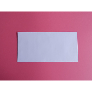 White American Envelope 110x220mm Silicone Strip