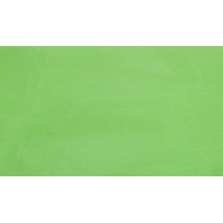 Folha Papel Seda Verde Claro 51x76cm 20 grs