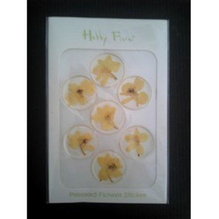 Stiker with Dry Yellow Natural Flowers