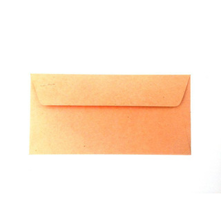 Envelope 110x220 Reciclado Castanho