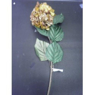 Hortência Ouro 10-2303