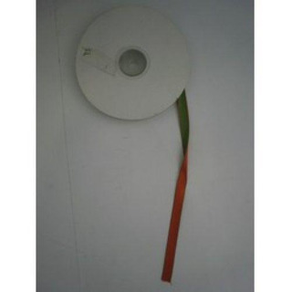 Satin Green/ Laranj Ribbon 10mm Doble 11599