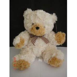 Fuzzy Teddy Bear 191050