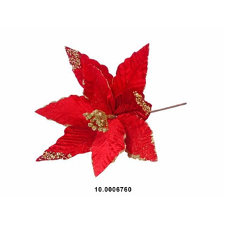 Red christmas flower and gold 10-0006760