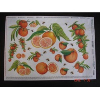 Sheet A4 25x35cm Oranges TO-DO 029