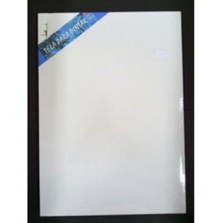 Tela pªPintar 50x70x3,7 8402