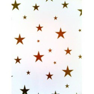 Cartol c/ estrelas douradas 240grs 50x70