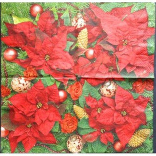 Guard Flor de Natal Vermelha Paper Desig