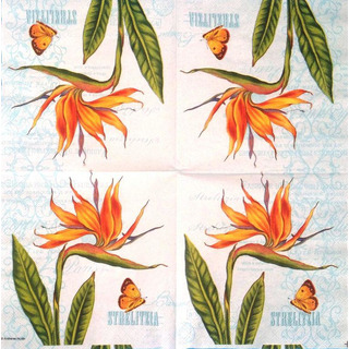 Guardanapo Esterlicia e Borboleta Ambien