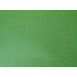 Cartolina 50x70 300grs Verde Relva 55