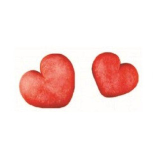 Molde Silicone 2 Corações MS-10