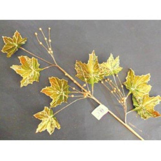 Folhagem Verde Glitter Ouro 04-6214