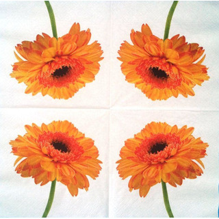 Guardanapo Gerbera Amarela Colourful Lif