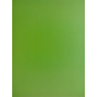 Cardboard 180grs Green Herb 50x65-31048