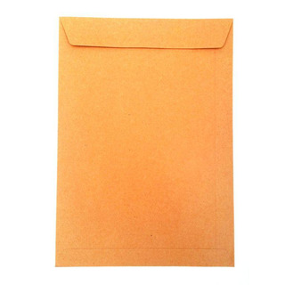 Kraft Envelope 324x229-w/ Silico-Bag 925