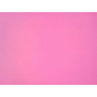 Eva Rosa Forte 004 2mm 50x70cm